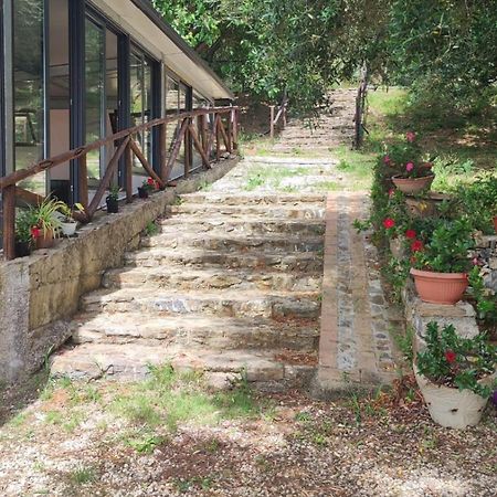 Agriturismo La Focazza Villa อาเชอา ภายนอก รูปภาพ