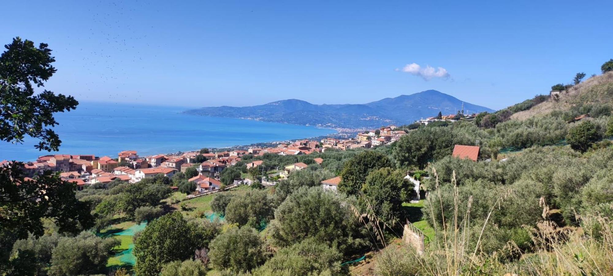 Agriturismo La Focazza Villa อาเชอา ภายนอก รูปภาพ