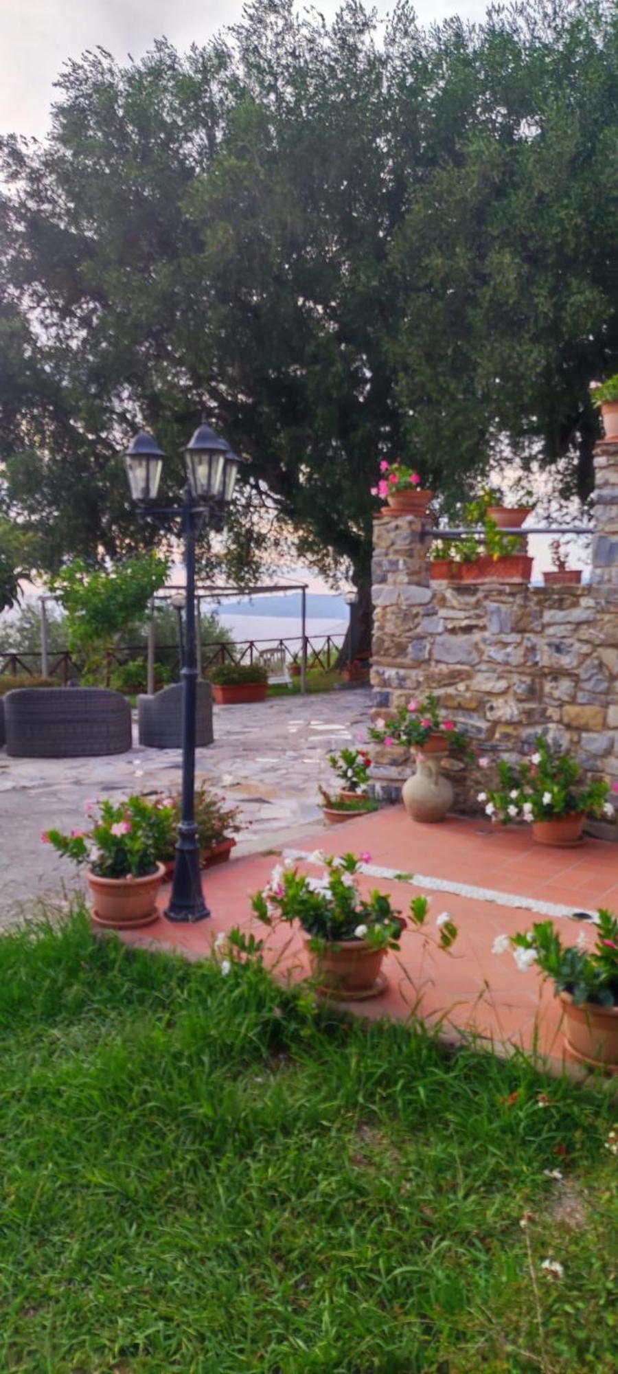 Agriturismo La Focazza Villa อาเชอา ภายนอก รูปภาพ