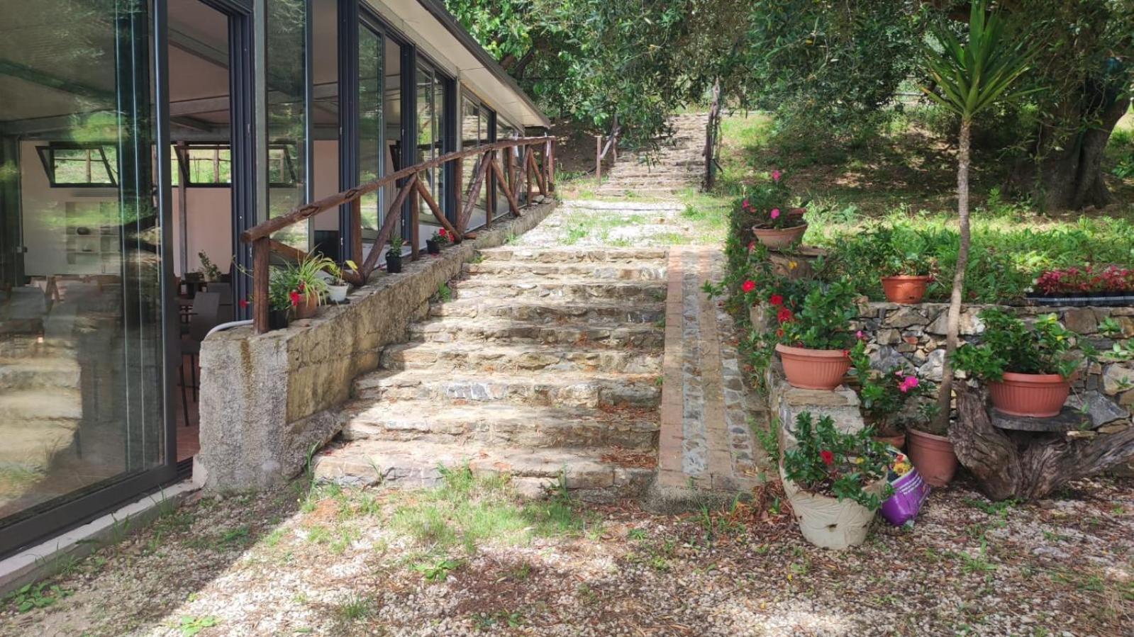 Agriturismo La Focazza Villa อาเชอา ภายนอก รูปภาพ
