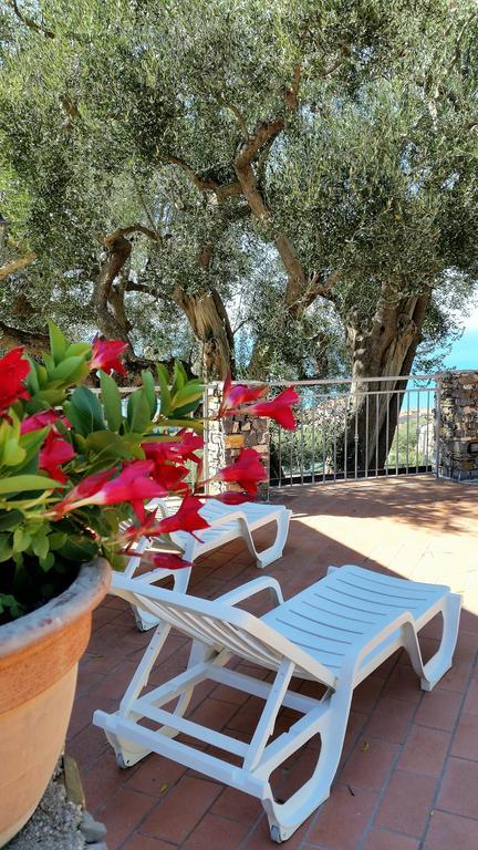 Agriturismo La Focazza Villa อาเชอา ภายนอก รูปภาพ