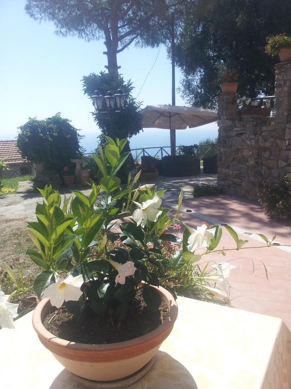 Agriturismo La Focazza Villa อาเชอา ภายนอก รูปภาพ