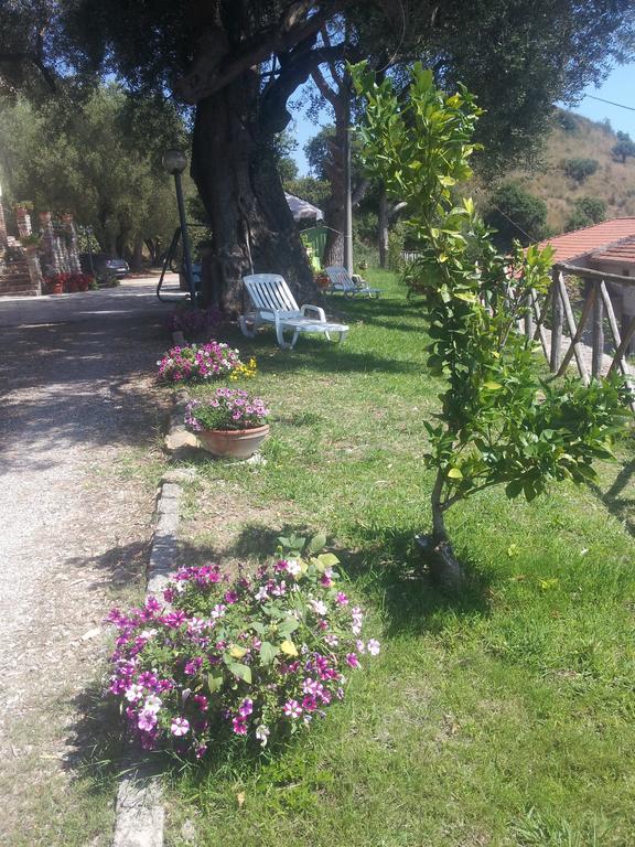 Agriturismo La Focazza Villa อาเชอา ภายนอก รูปภาพ